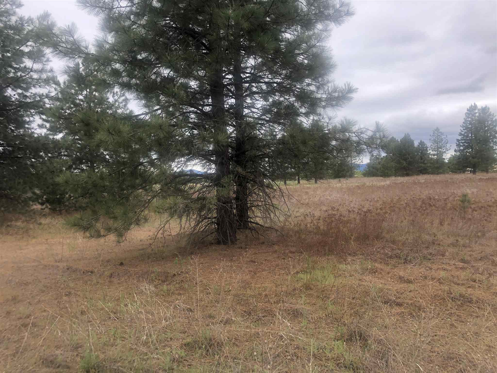Enoch Road Deer Park, WA 99006 - Photo 14 of 15 Gallery Image 14