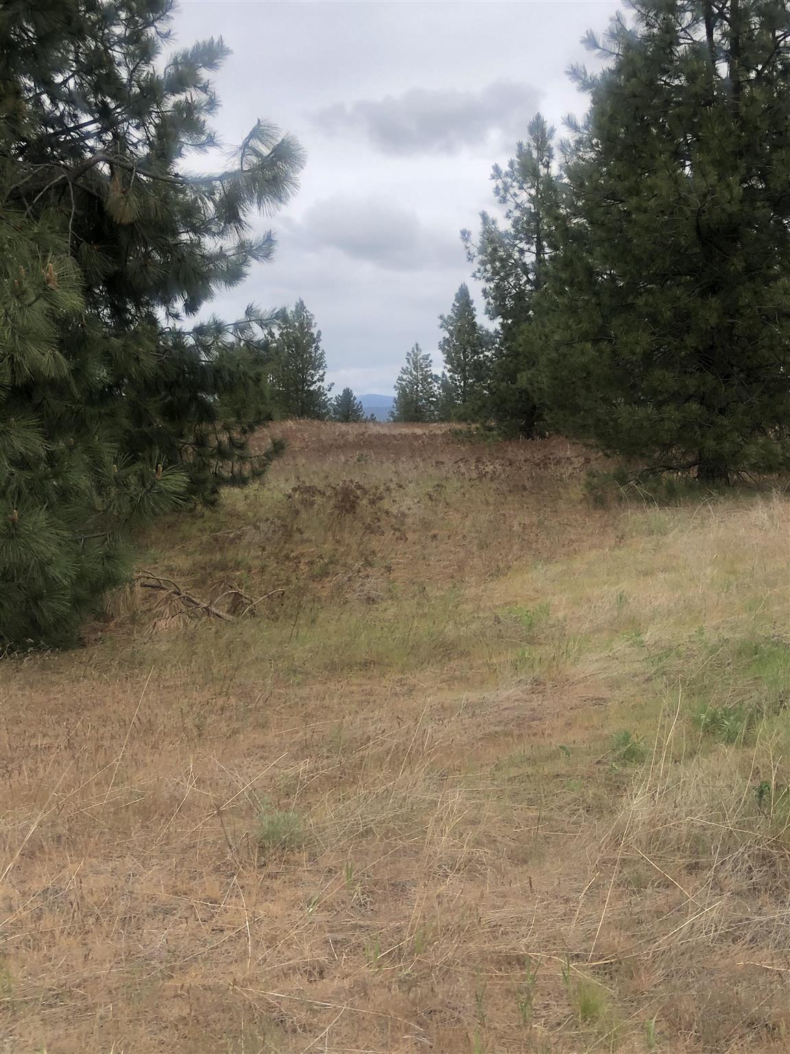 Enoch Road Deer Park, WA 99006 - Photo 8 of 15 Gallery Image 8