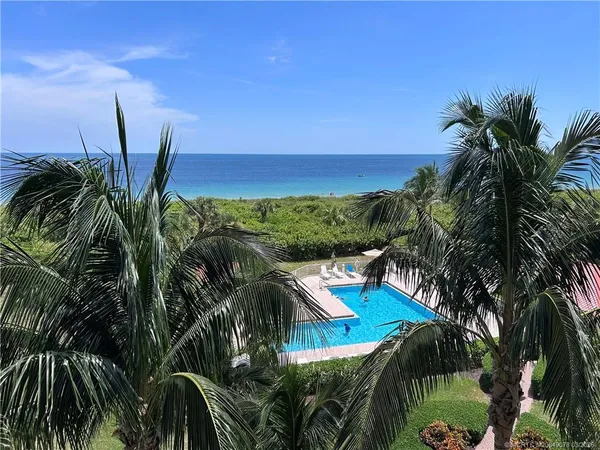 a view of a yard with palm tree