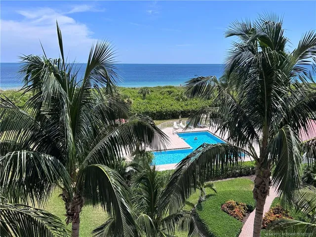 a view of a palm tree with garden