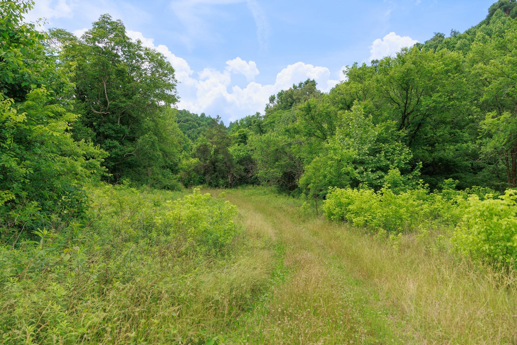 582 Cedar Bend Road Beechgrove, TN 37018 - Photo 11 of 32