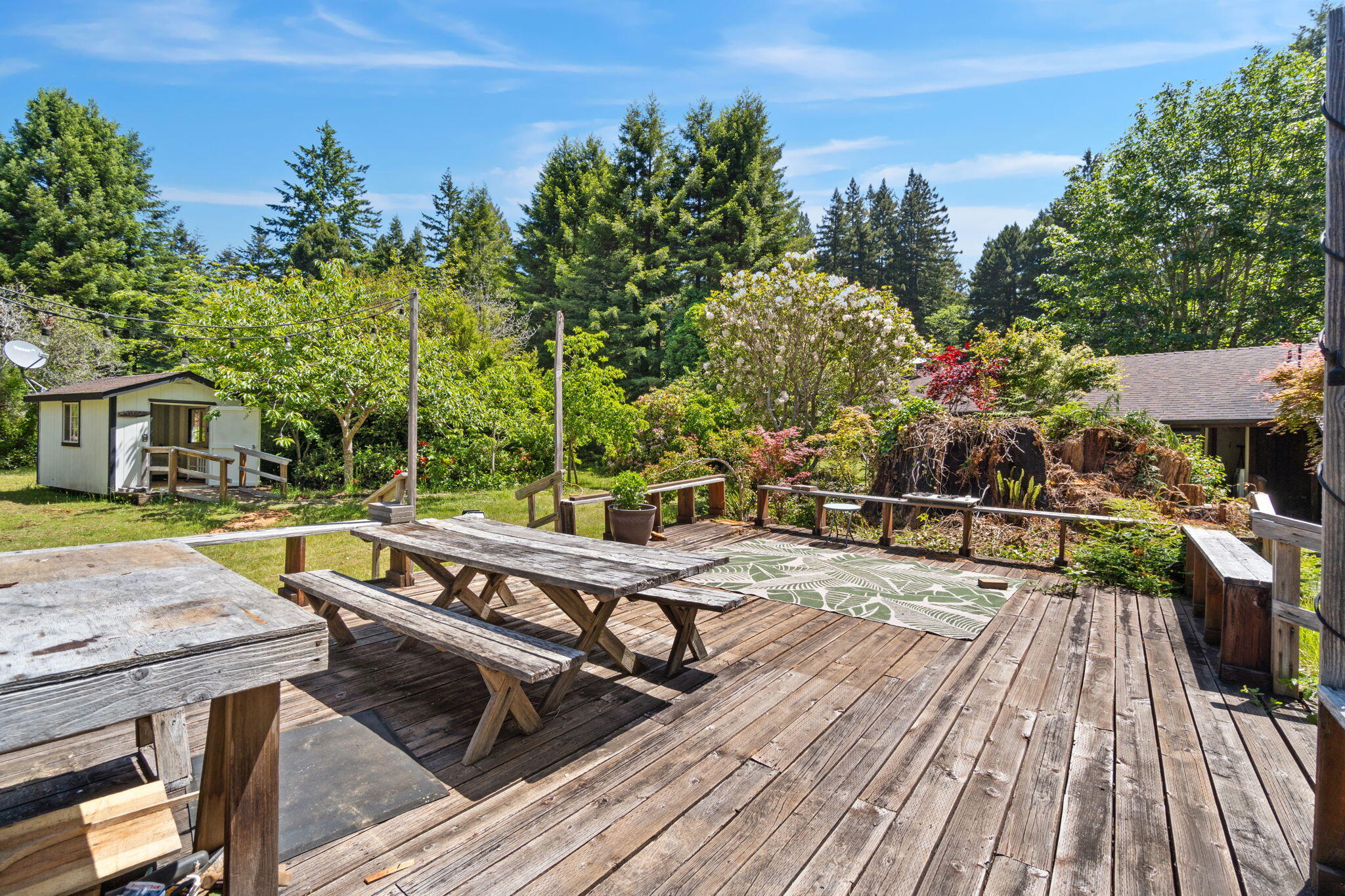 1446 Fox Farm Road Trinidad, CA 95570 - Photo 39 of 64