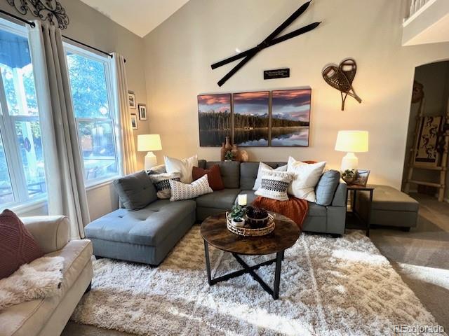 4092 Starflower Road Castle Rock, CO 80109 - Photo 19 of 39