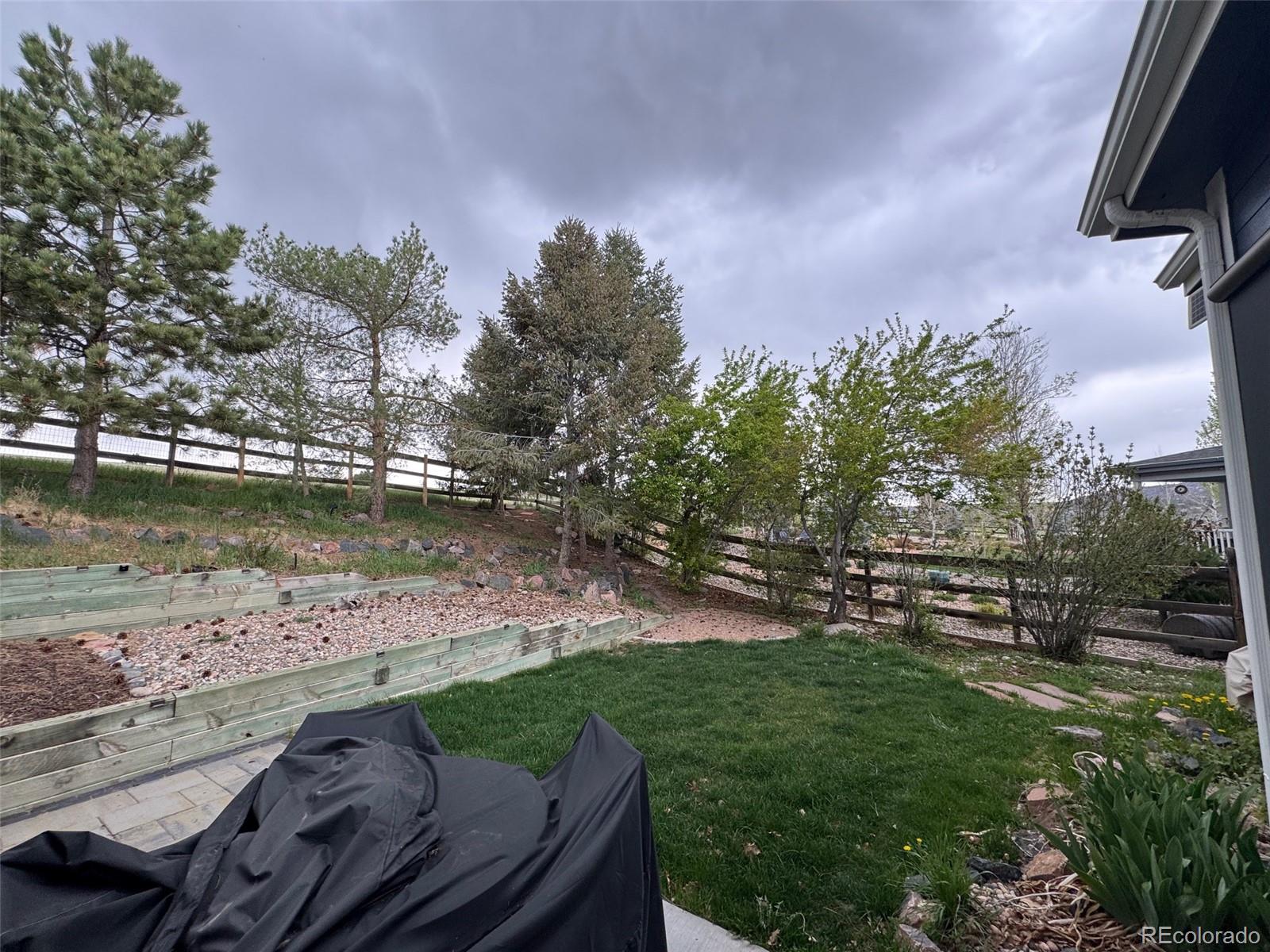 4092 Starflower Road Castle Rock, CO 80109 - Photo 37 of 39