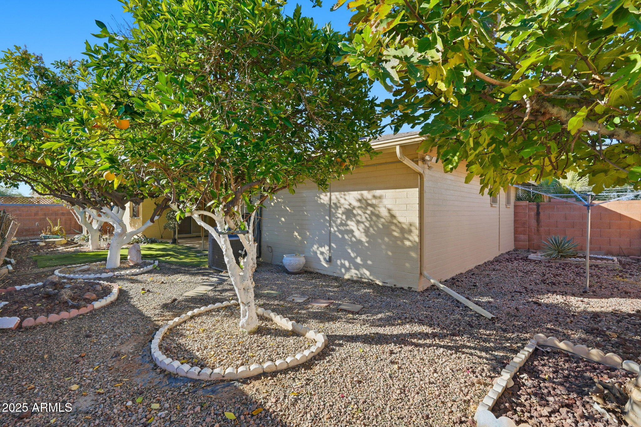 423 South Racine Mesa, AZ 85206 - Photo 33 of 35 Racine - backyard.2