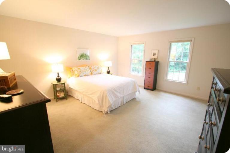 10915 Hunt Club Road Reston, VA 20190 - Photo 14 of 27 Bring your king bed!
