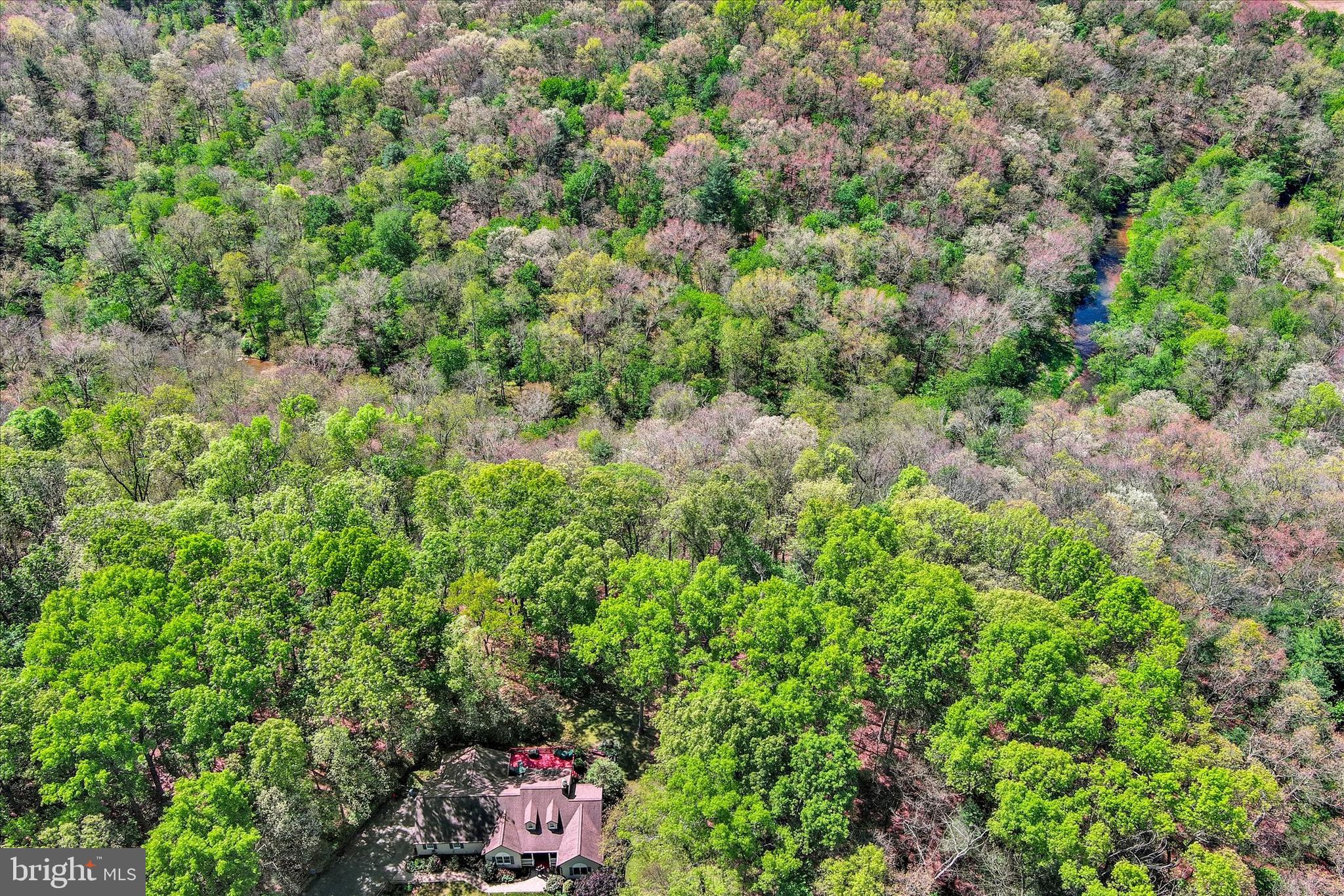 3213 Green Road White Hall, MD 21161 - Photo 42 of 44