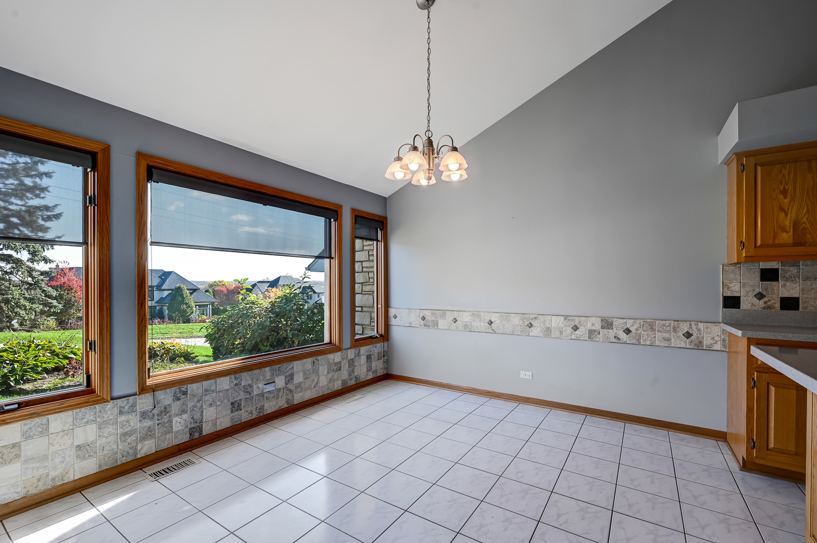 21 Rodeo Drive Burr Ridge, IL 60527 - Photo 8 of 29 Gallery Image 8