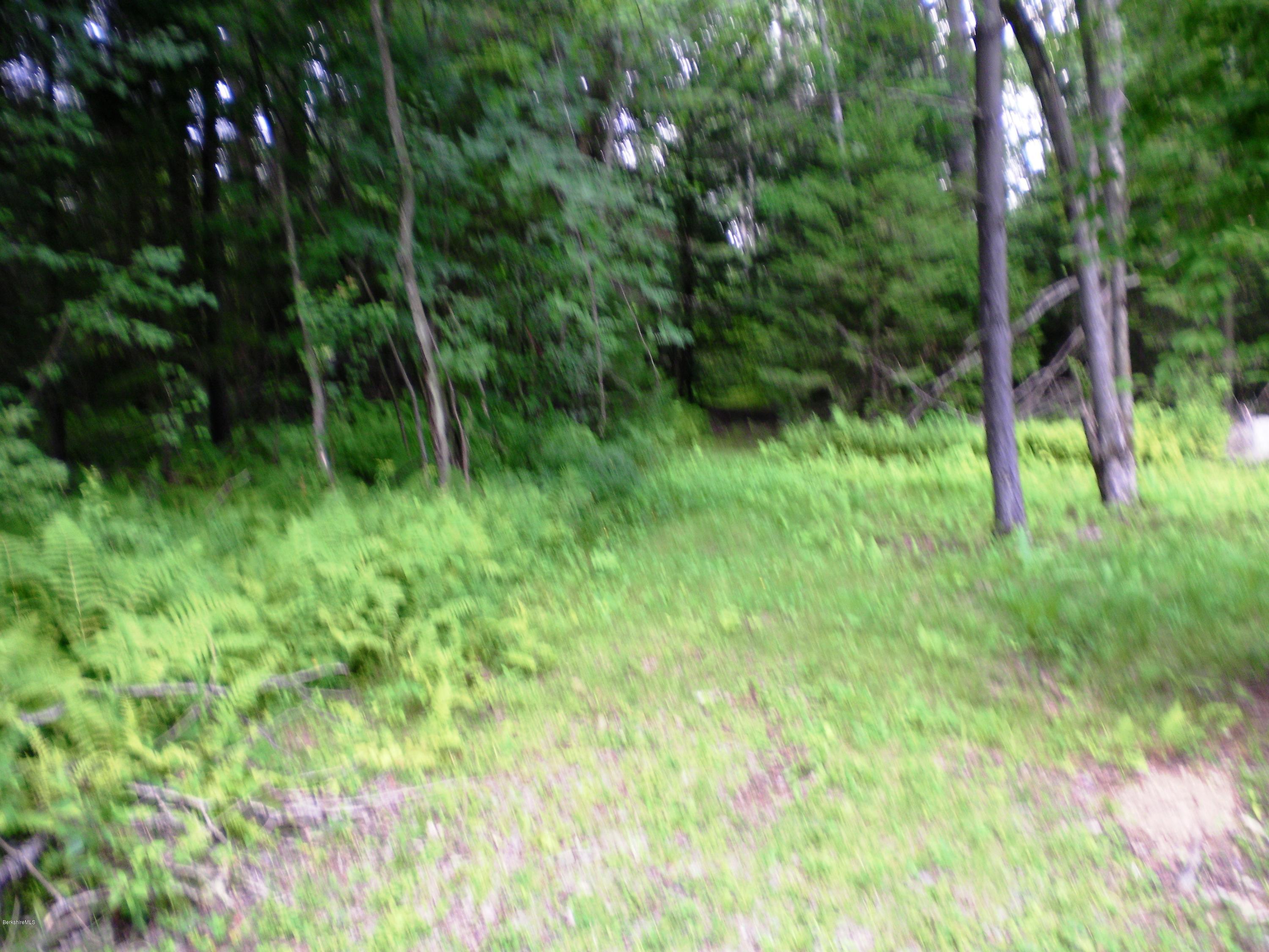 Lot #223 Calvin Road Hinsdale, MA 01235 - Photo 2 of 2 Unused road leading to Lot #223 Calvin