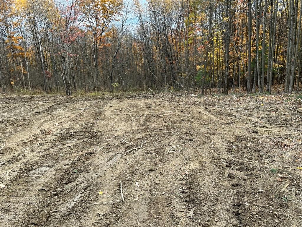 156 Dodd Road Windsor, NY 13865 - Photo 3 of 3