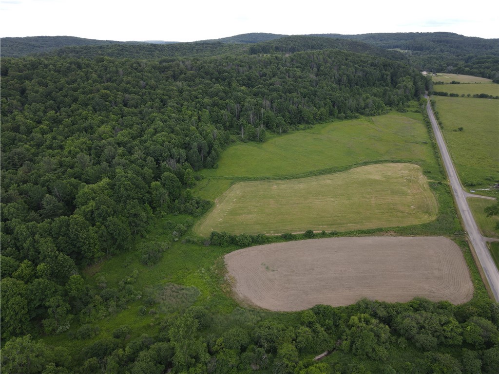 Lot 9 Summit Road Cuba, NY 14727 - Photo 1 of 22