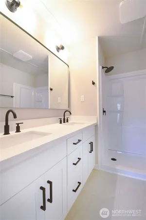 a bathroom with a double vanity sink mirror double shower and a bathtub