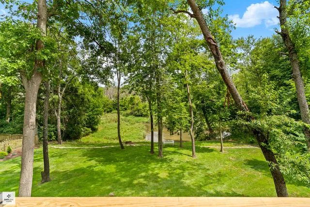 a view of a backyard with large trees