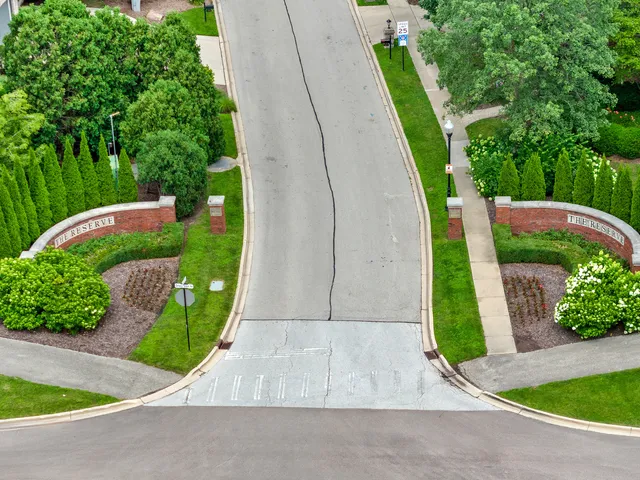 a view of a garden with plants