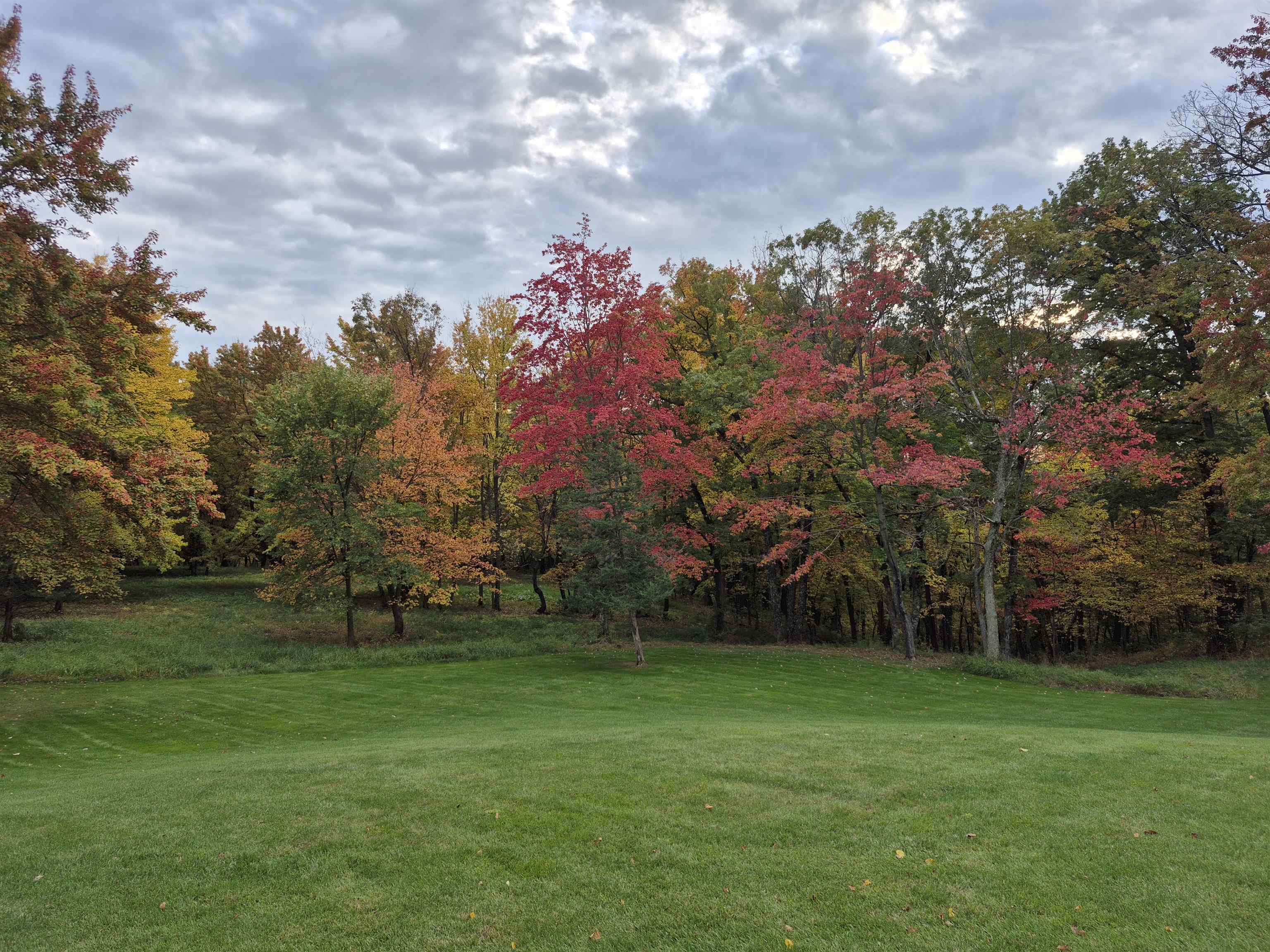 S8295 Dale Road Loganville, WI 53943 - Photo 70 of 80 Gallery Image 70