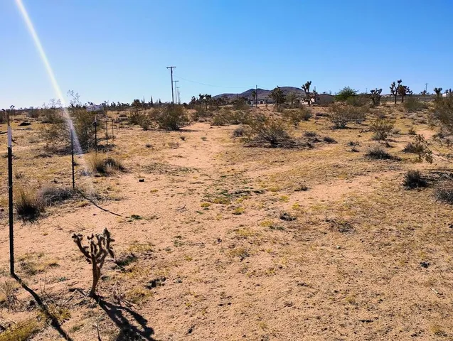 a view of a dry yard with mountains in the background