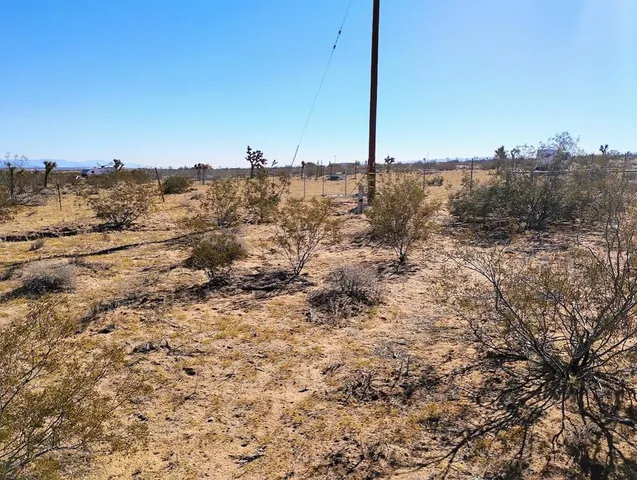 a view of a covered with trees