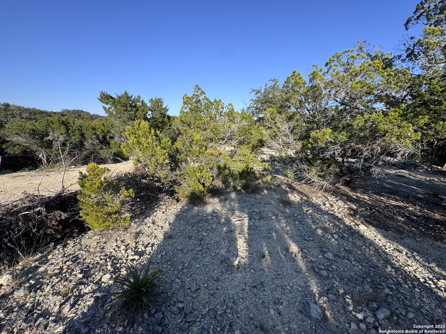 205 Center Point Road Bandera, TX 78003 - Photo 6 of 25 a view of a yard with a tree