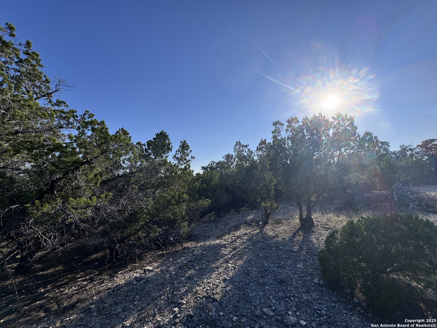 205 Center Point Road Bandera, TX 78003 - Photo 8 of 25 a sunset view with a tree