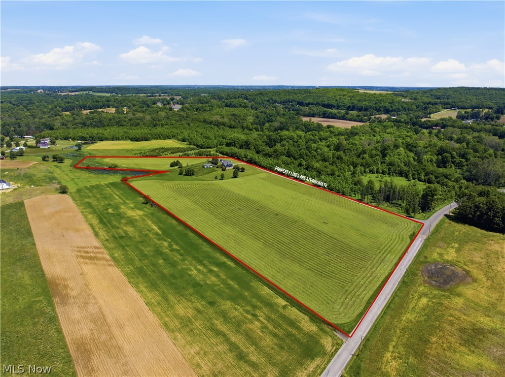 12159 Lawndell Road Southwest Beach City, OH 44608 - Photo 9 of 49 Expansive agricultural land featuring a paved road frontage, established tree line, and a single residential structure