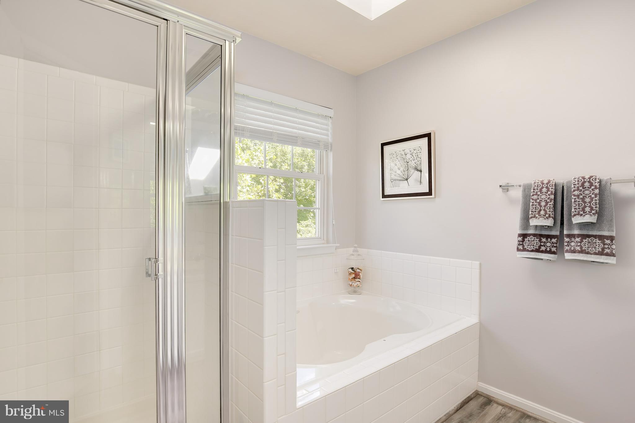254 Braxton Way, Unit 27 Edgewater, MD 21037 - Photo 18 of 29 Bath (Master)