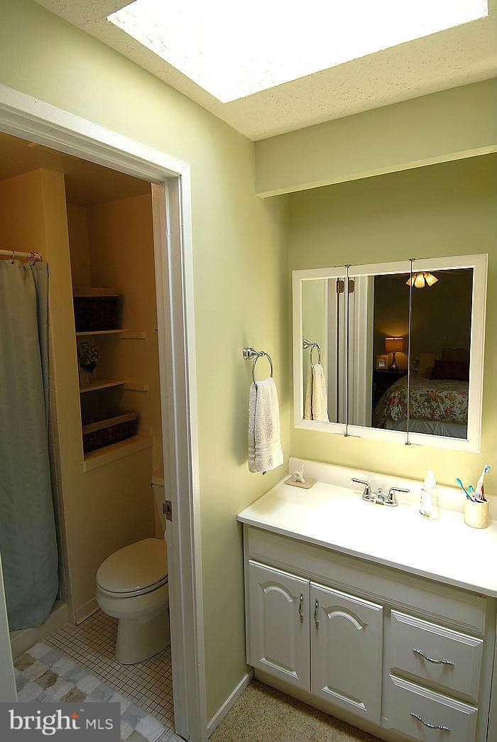 173 West Annandale Road Falls Church, VA 22046 - Photo 10 of 25 a bathroom with a sink a toilet and shower