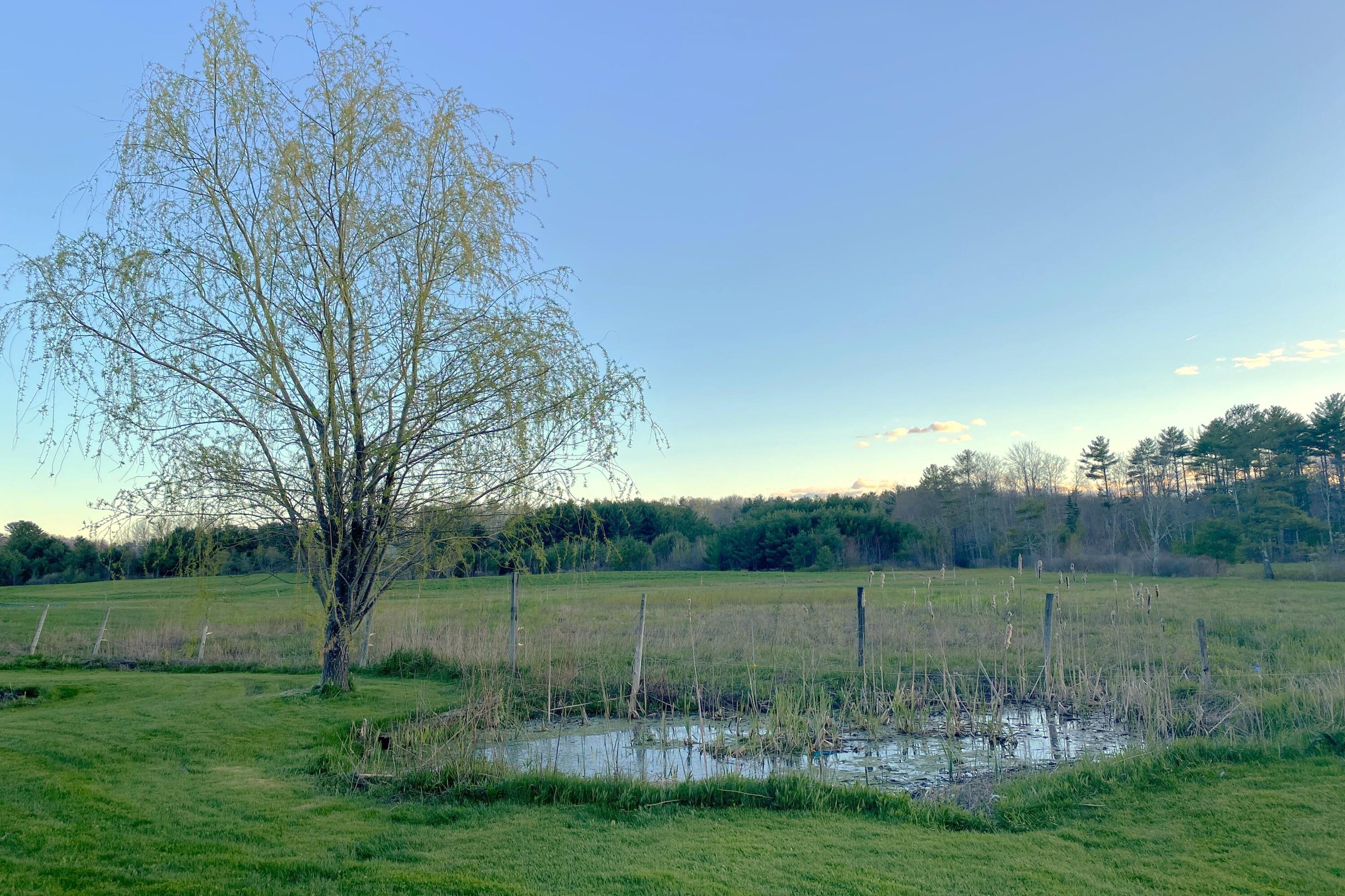 125 River Road Biddeford, ME 04005 - Photo 23 of 32 125 River Rd Willow Tree