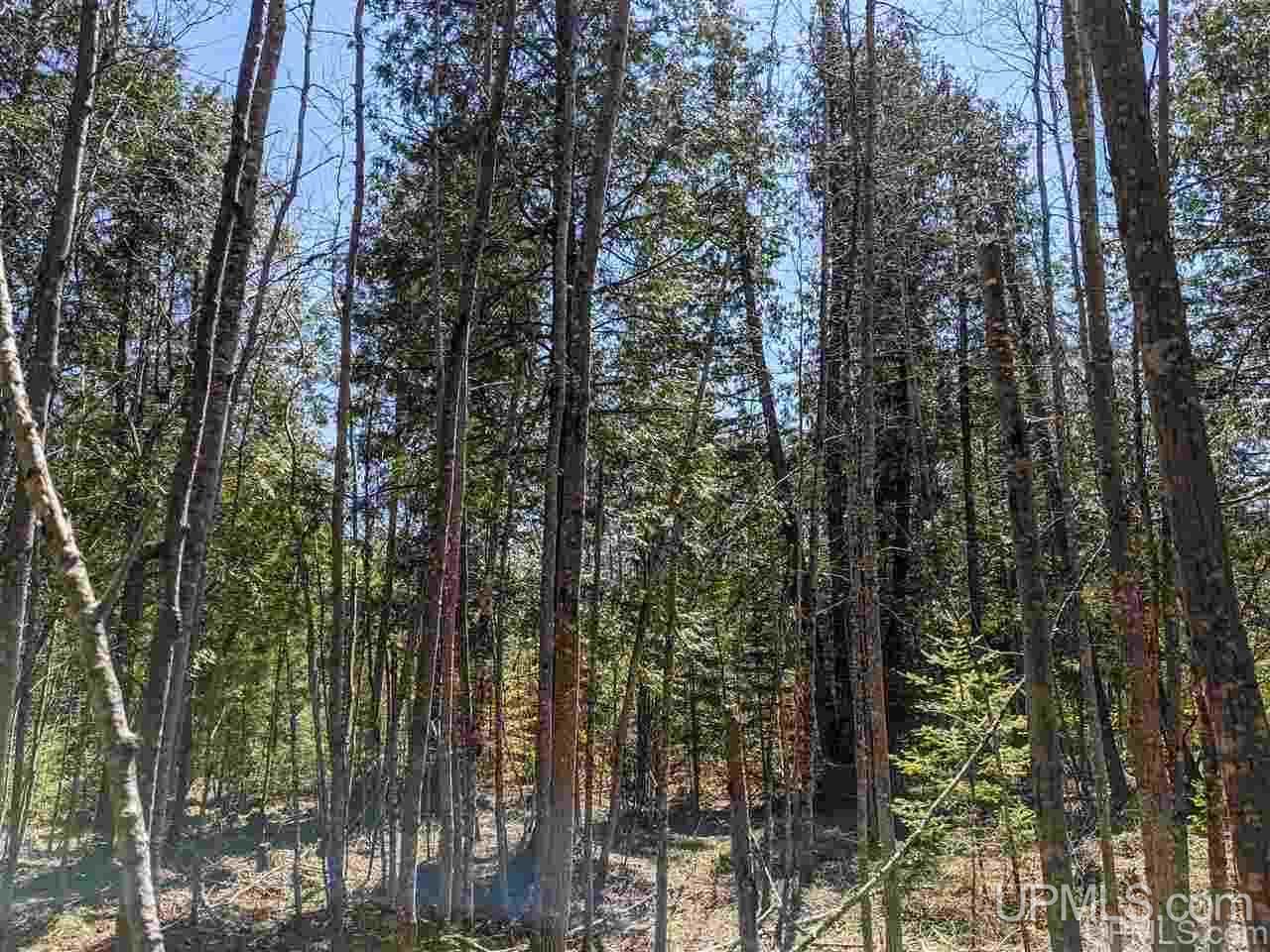 Tbd Off Leeman Road, Unit SENW NESW Sagola, MI 49881 - Photo 16 of 18