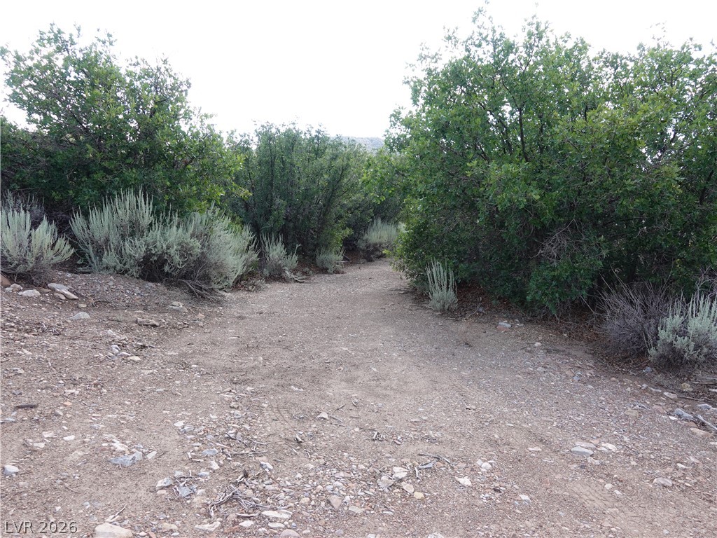 Lovell Canyon Road Las Vegas, NV 89124 - Photo 16 of 36 Gallery Image 16