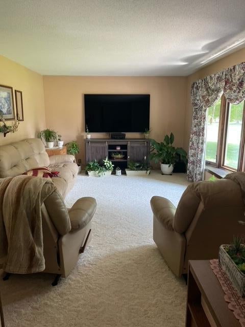 4980 Kocot Road Sterling, MI 48659 - Photo 5 of 38 Gallery Image 5
