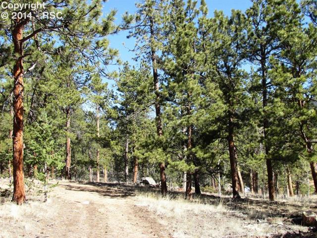 1673 Pulver Road Lake George, CO 80827 - Photo 16 of 24 Acreage