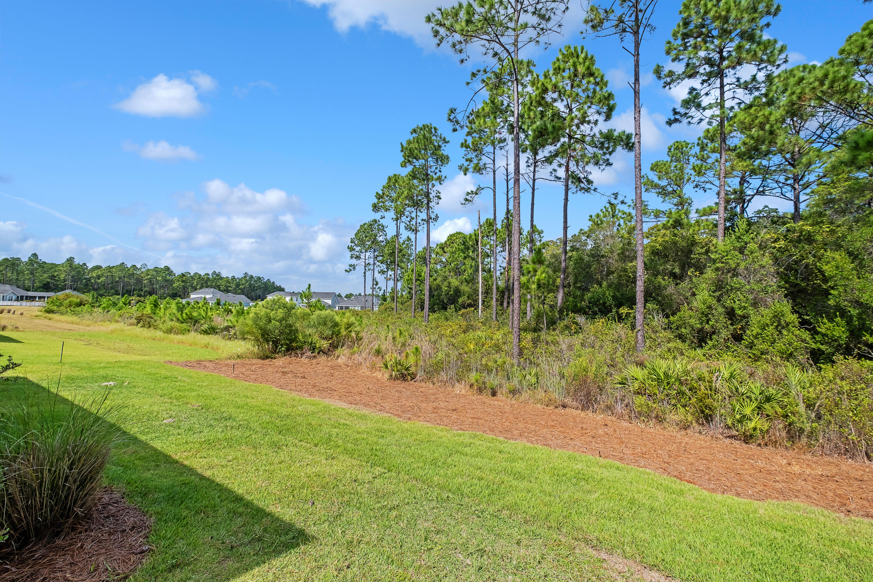 161 Sidecamp Rd Inlet Beach Inlet Beach, FL 32461 - Photo 53 of 66 a view of a yard with a house in the background