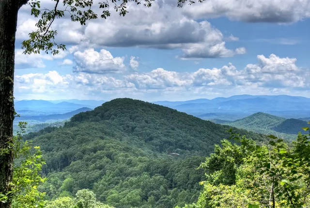 a bedroom with a bed flat screen tv and a large window