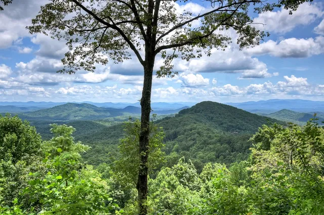a view of a house with a tree in the background