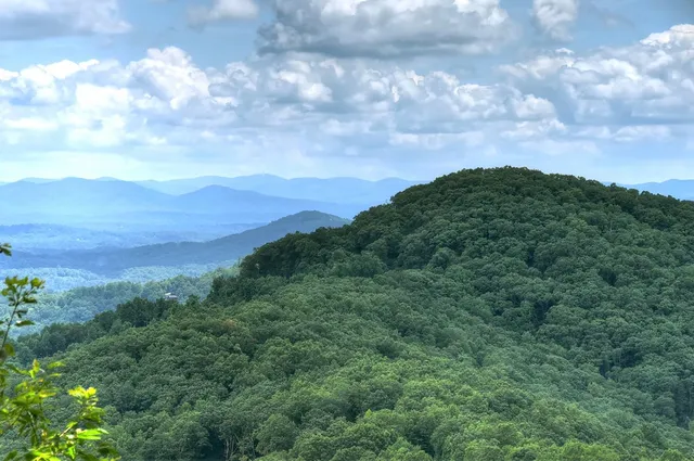 a living room with furniture a window and a fireplace