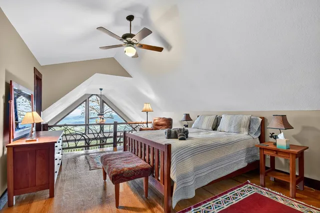 a view of a plant with a plant