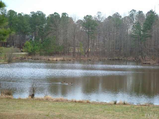 2845 Anfield Road Raleigh, NC 27606 - Photo 24 of 25 Enjoy the Outdoors, Wildlife and Ponds throughout the Wooded Subdivision Other