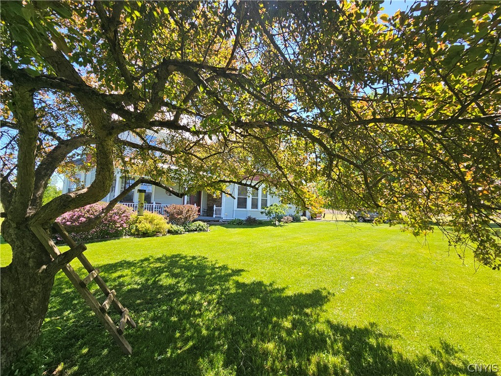 10094 Powell Road Trenton, NY 13354 - Photo 17 of 50