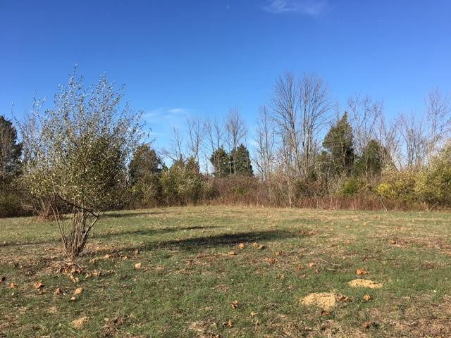 3462 Rector Road Morning View, KY 41063 - Photo 11 of 14