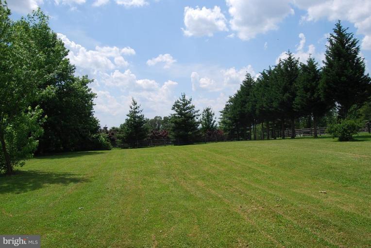 27708 Ridge Road Damascus, MD 20872 - Photo 3 of 8 a view of a field of grass and trees