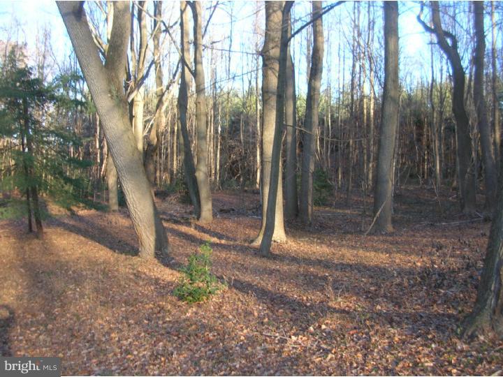 280 Sykesville Road Chesterfield, NJ 08515 - Photo 16 of 17 Gallery Image 16