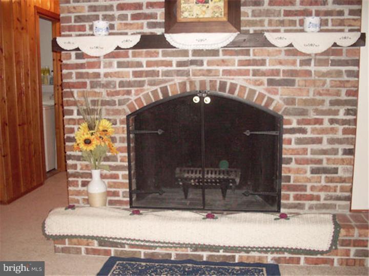 280 Sykesville Road Chesterfield, NJ 08515 - Photo 9 of 17 Fireplace