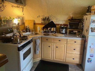 54 Rossmore Road Boston, MA 02130 - Photo 3 of 20 Gallery Image 3