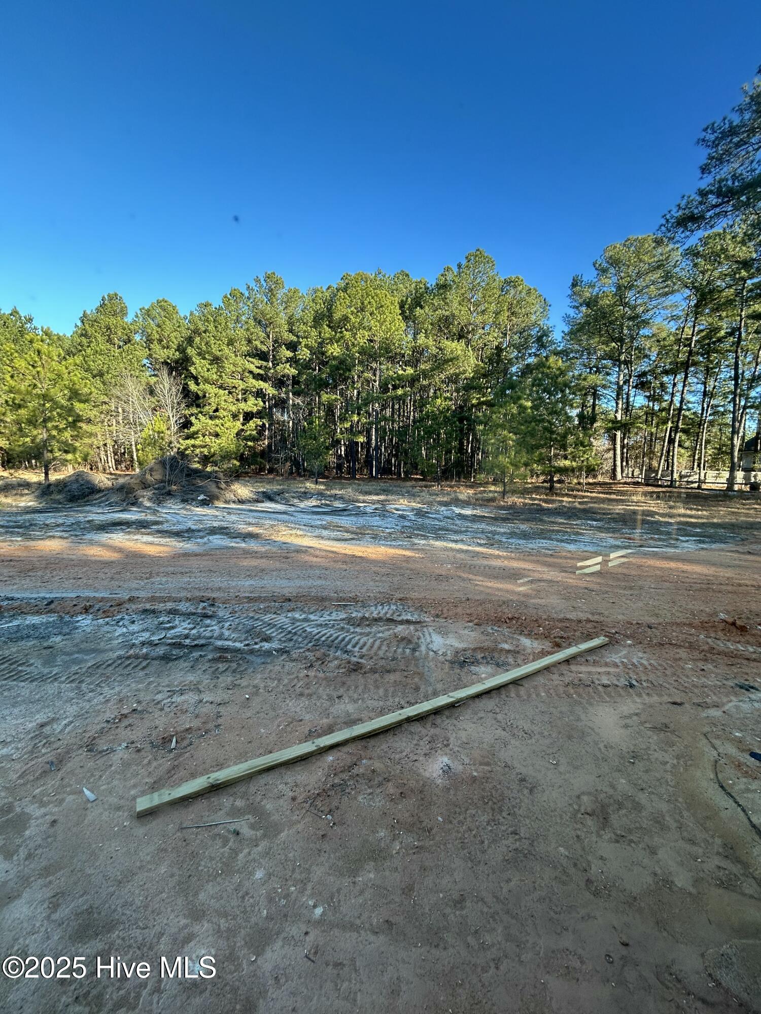 225 Spring Meadows Drive Aberdeen, NC 28315 - Photo 8 of 8 IMG_2562