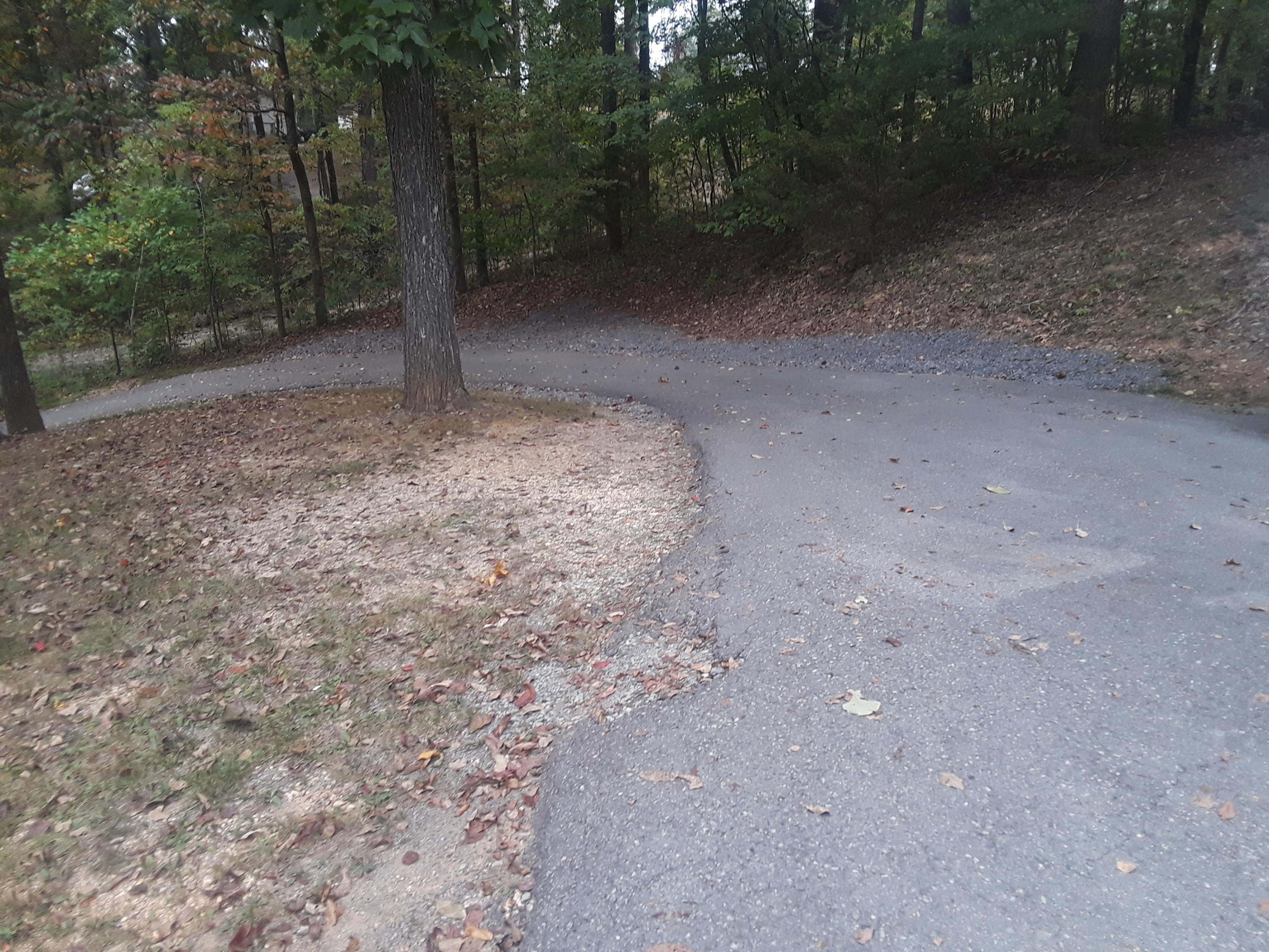 227 Booker Road Maynardville, TN 37807 - Photo 12 of 40 20191012_085303