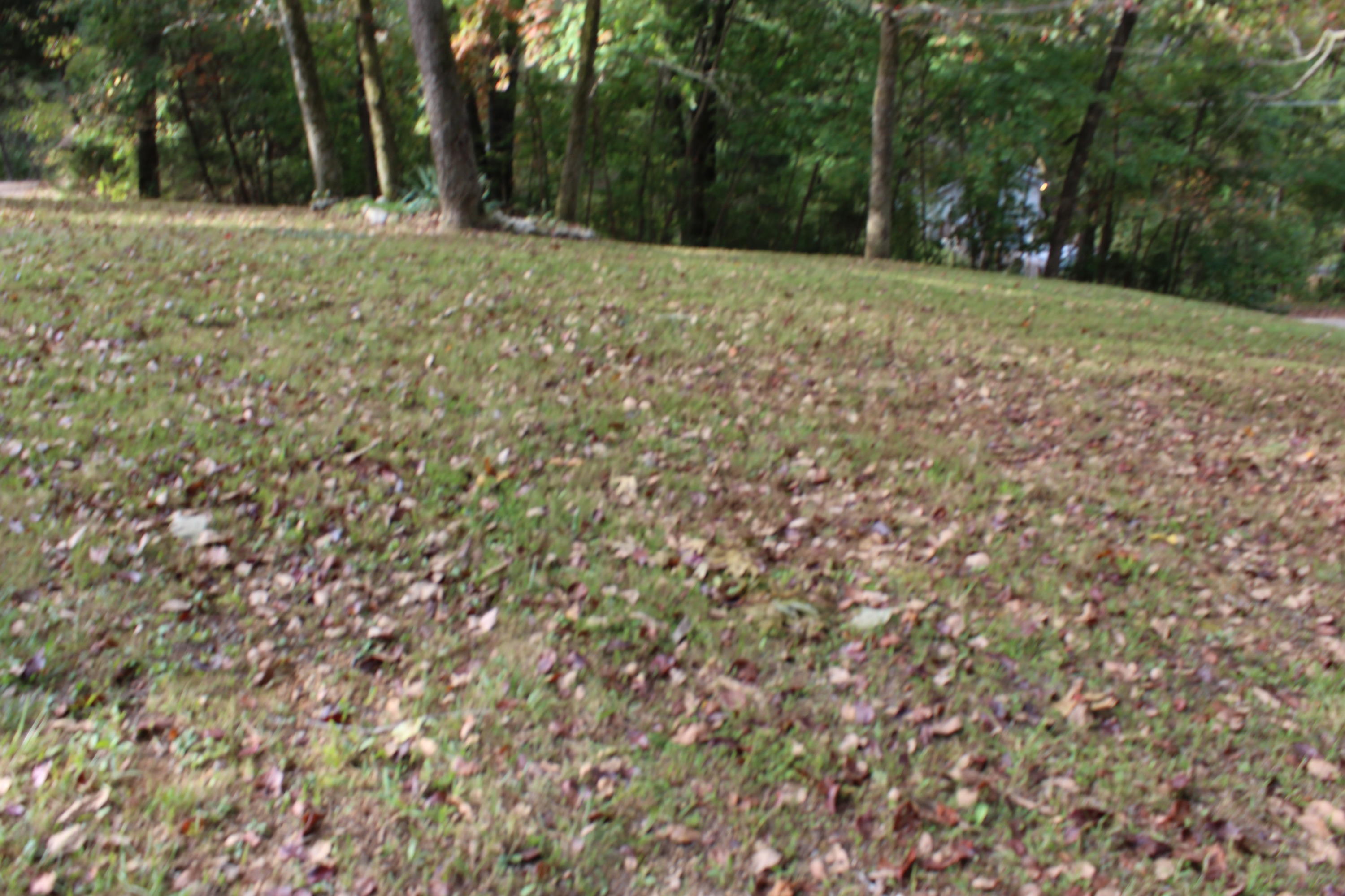 227 Booker Road Maynardville, TN 37807 - Photo 13 of 40 IMG_3286