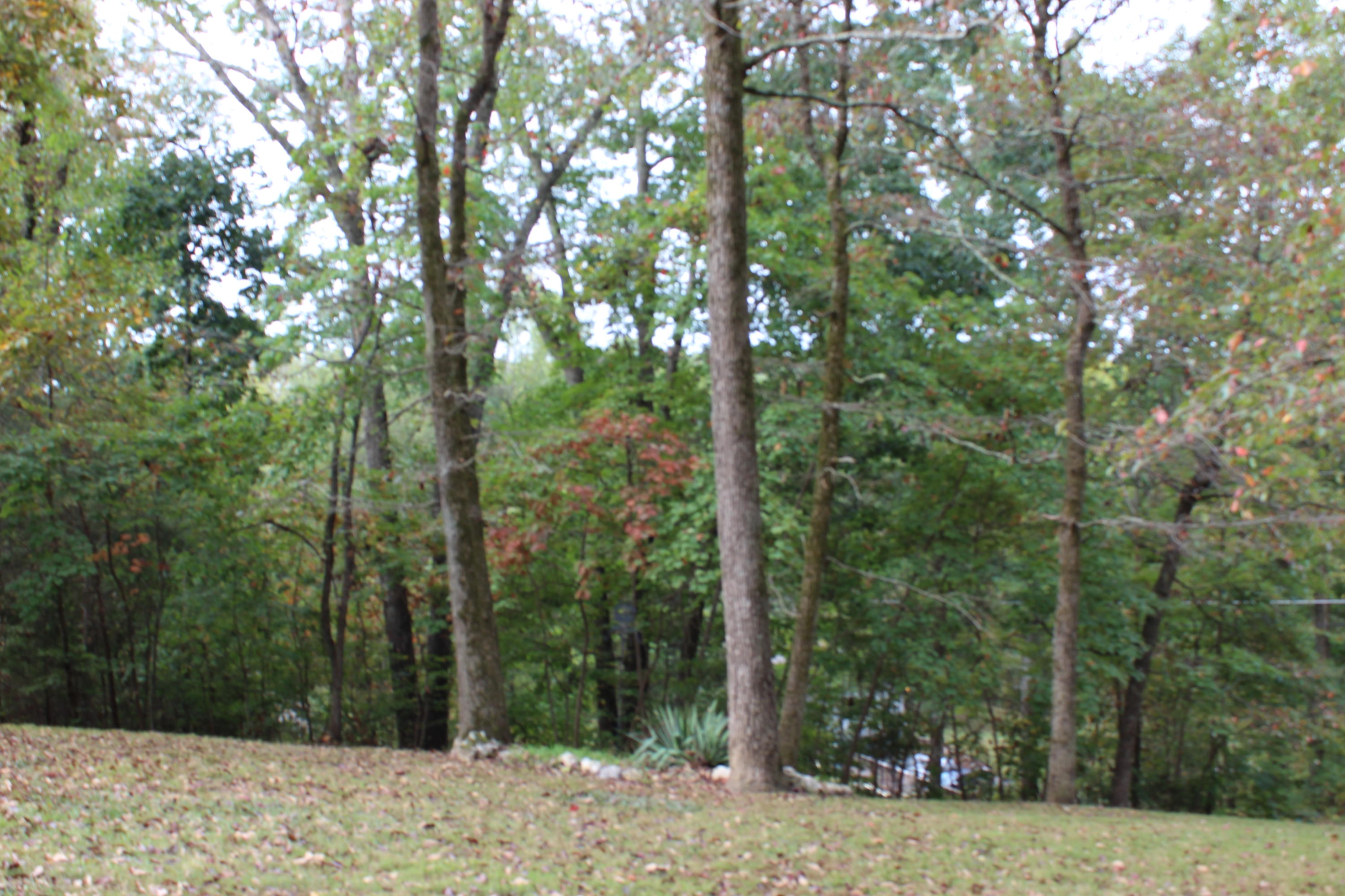 227 Booker Road Maynardville, TN 37807 - Photo 7 of 40 IMG_3337