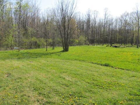 11448 McCaughna Road Byron, MI 48418 - Photo 4 of 21 20132425-3.JPG