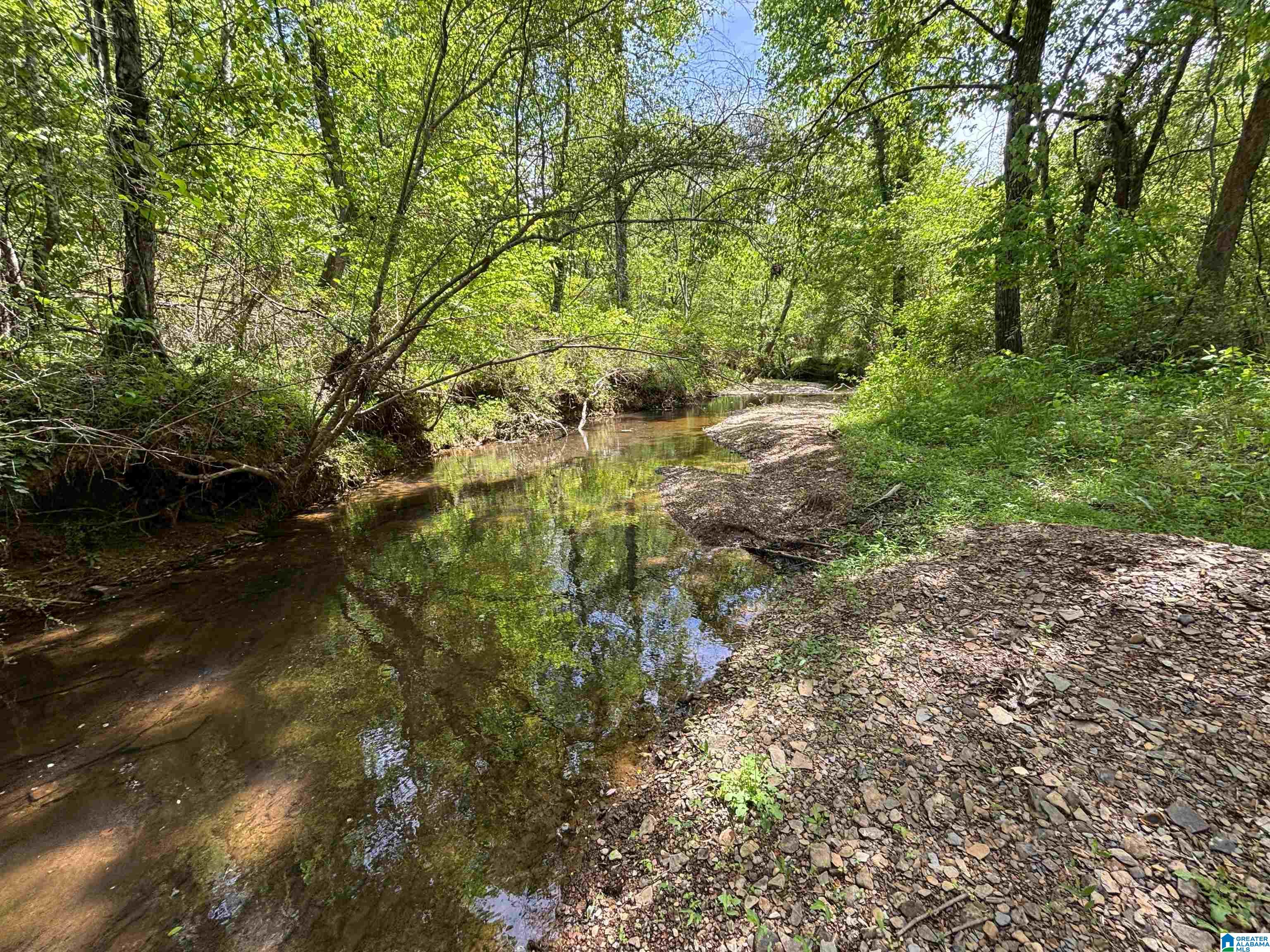 498 Blackwood Road, Unit 14 9 ACRES Parrish, AL 35580 - Photo 18 of 50