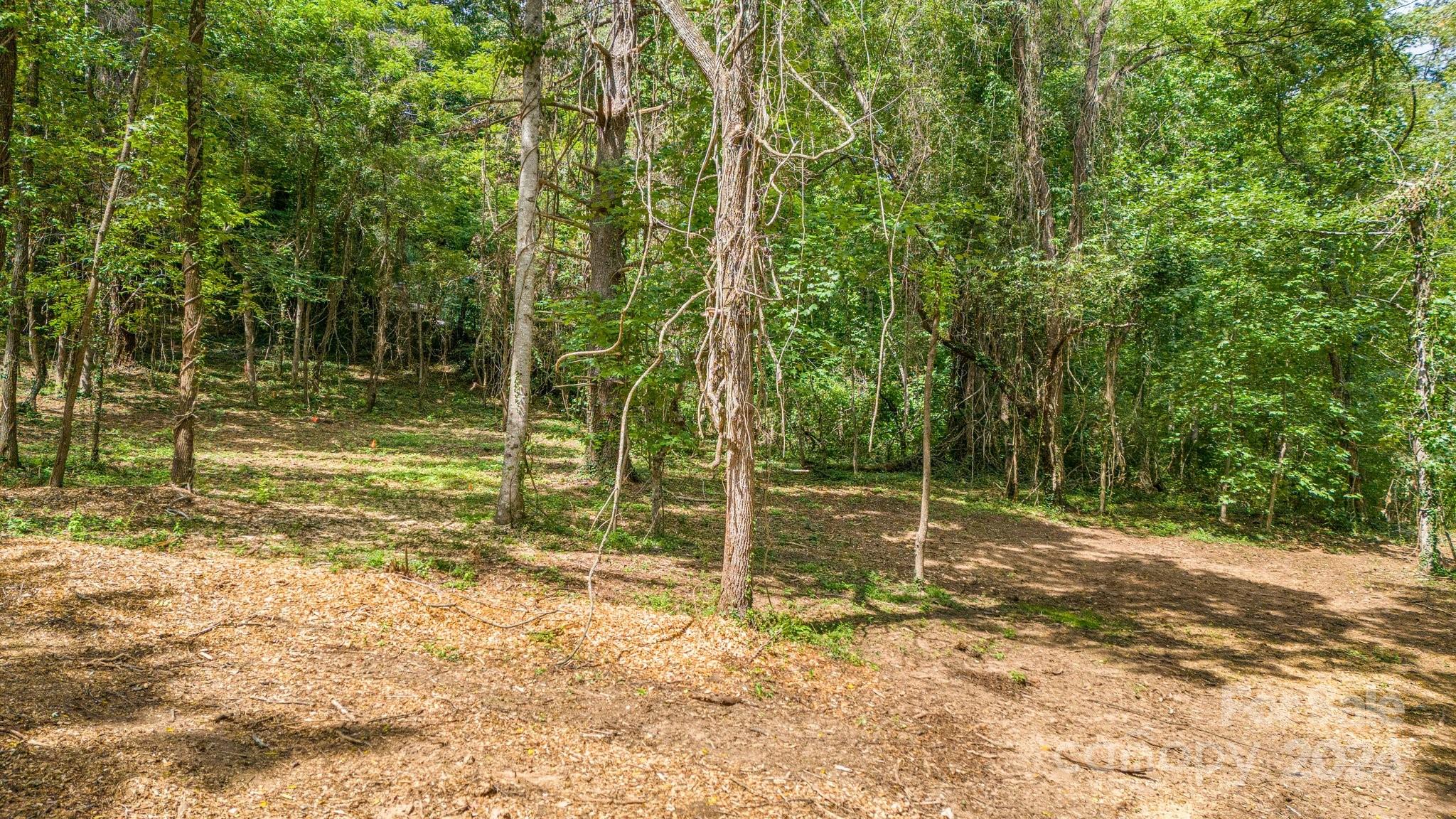 63 Rice Branch Road Asheville, NC 28804 - Photo 12 of 18 Gallery Image 12
